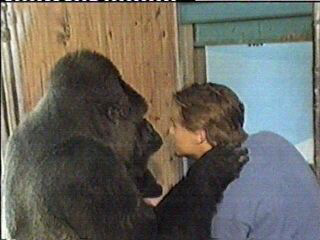 leokoko10.jpg