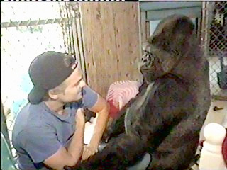 leokoko8.jpg